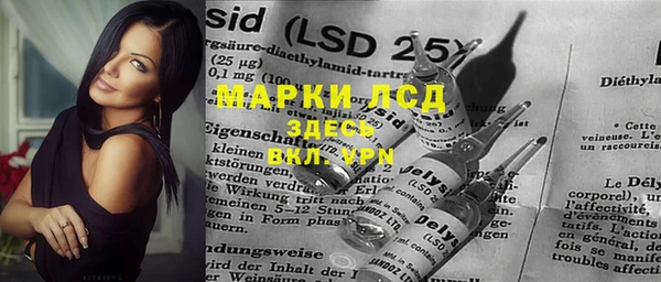 гашик Медвежьегорск