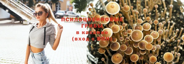 спайс Медногорск
